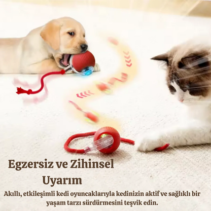 HERSEYSİZE™ Işıklı Otomatik Hareket Eden Top